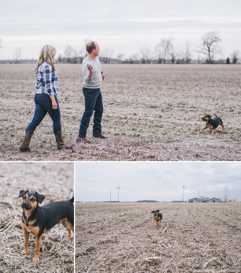Windsor, Ontario Engagement Photographers, Joshua & Arica Klassen | Manifesto Photography | Farm